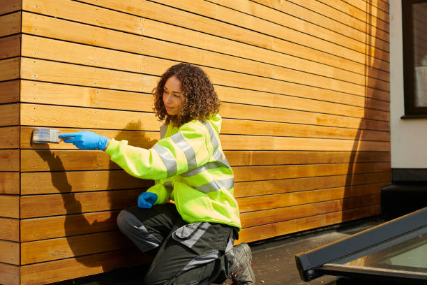 Best Custom Trim and Detailing for Siding  in Nokomis, FL